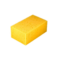 Huba umývacia Malá (1 ks) Huba umývacia Malá (1 ks)